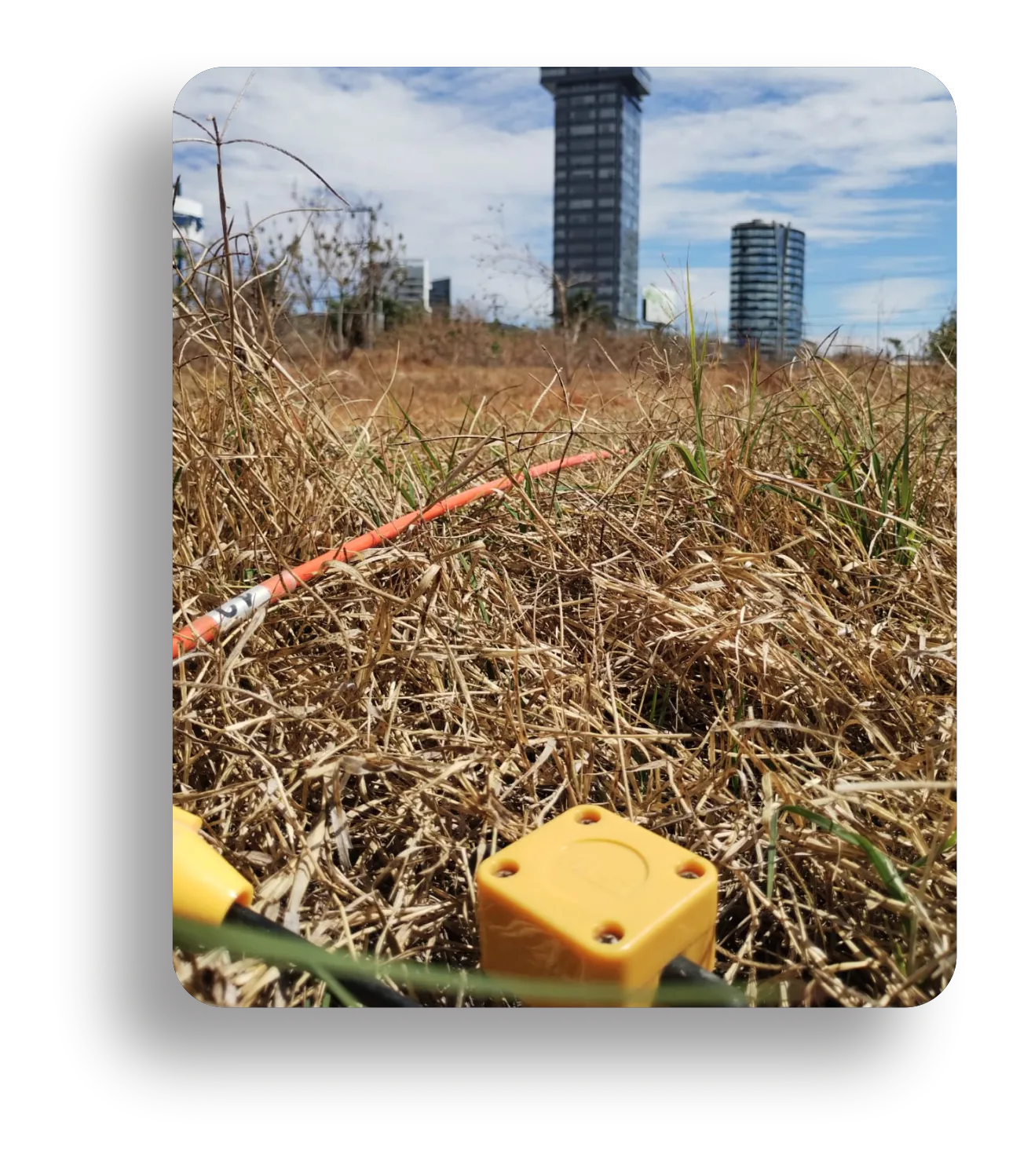 imagen de fondo con animacion de carrusel 1 carrusel dos